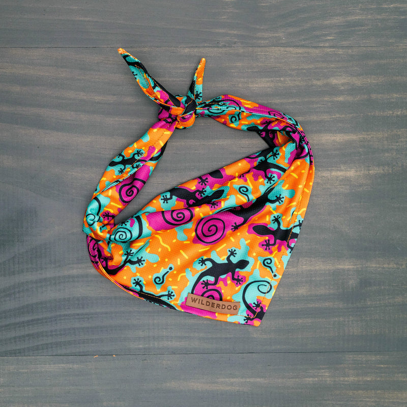 Lizards Bandana tied in a knot, featuring vibrant lizards in blue, pink, and orange.