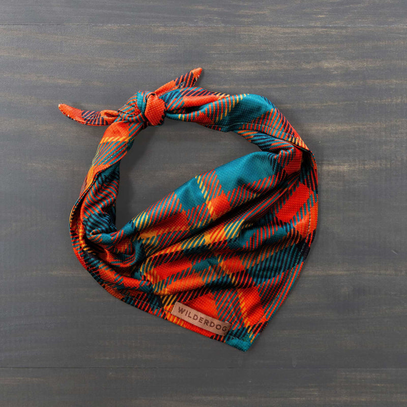 The Papaya Bandana is a lightweight, quick-drying dog accessory with colorful plaid stripes in red, orange, teal, and yellow. Featuring a "Wilderdog" label and folded for style, it's perfect for fall outfits.