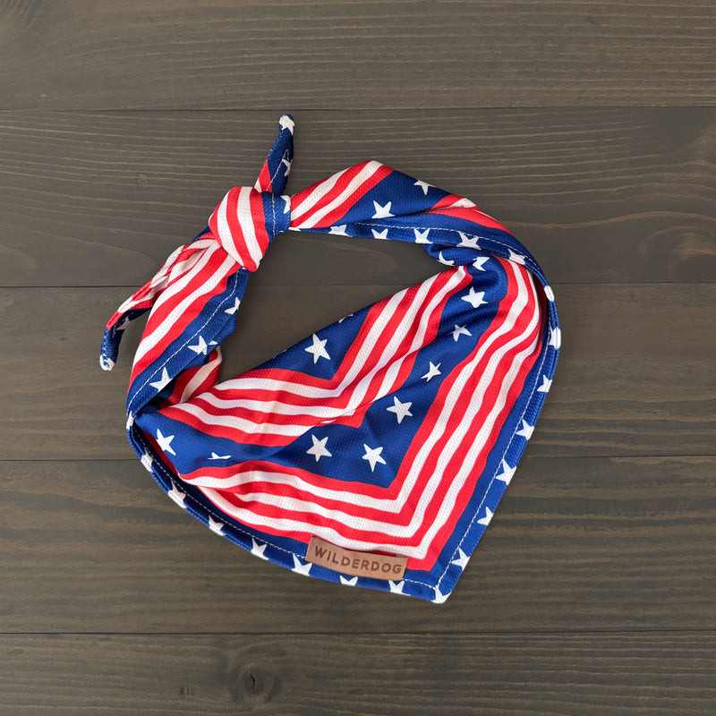 The Americana Bandana, featuring red and white stripes with white stars on a blue background like the American flag, is displayed on a dark wooden surface. A "Wilderdog" label enhances this ideal fall accessory for dogs.