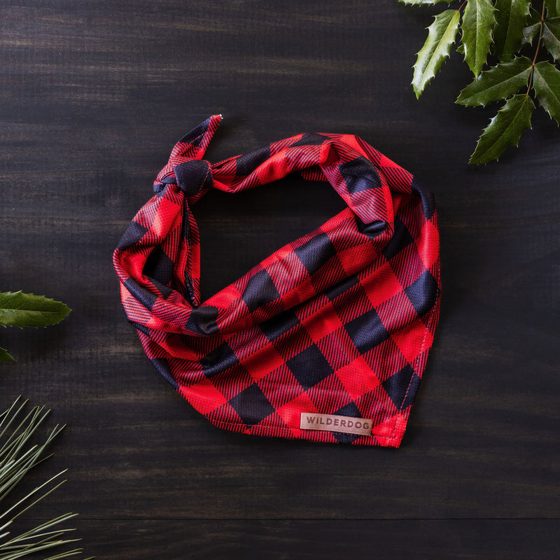 The Buffalo Plaid Bandana is neatly folded and tied on a dark wooden surface. Green leaves are arranged around the edges, evoking the holiday season. A small tag on the bandana reads "WILDERDOG," perfect for festive outings during this special time of year.