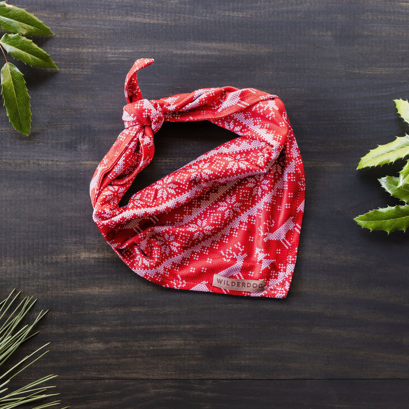 The Ugly Sweater Bandana, with its vibrant red color and stylish white patterned design, is neatly folded and tied in a knot on a dark wooden surface. Surrounding this lightweight poly-blend mesh bandana are green foliage elements, including pine needles and holly leaves. A small label on this cooling dog trail accessory proudly reads "Wilderdog.