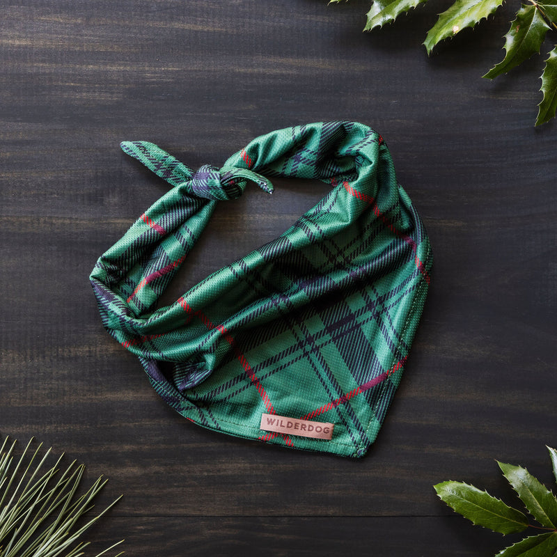 A Tartan Plaid Bandana, labeled "Wilderdog," is neatly folded and tied on a dark wooden surface. Green holly leaves with red berries are arranged in the corners for decoration, making it the perfect dog trail accessory for festive winter hikes.