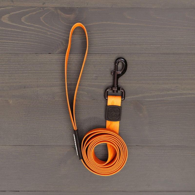 The Terracotta Waterproof Leash + Collar Bundle (x), featuring a stink-proof leash with loop handle and metal clip, is coiled neatly on a dark wooden surface—an ideal pick for those wanting durable dog gear.