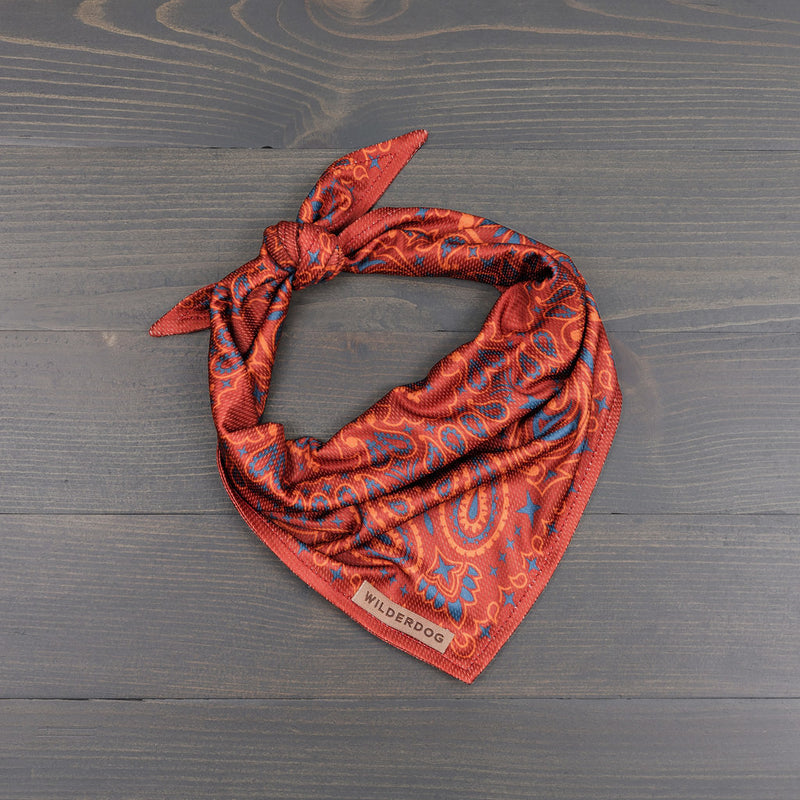 Rodeo Bandana with paisley pattern in blue and gold, labeled "WILDERDOG," on a dark wooden surface.