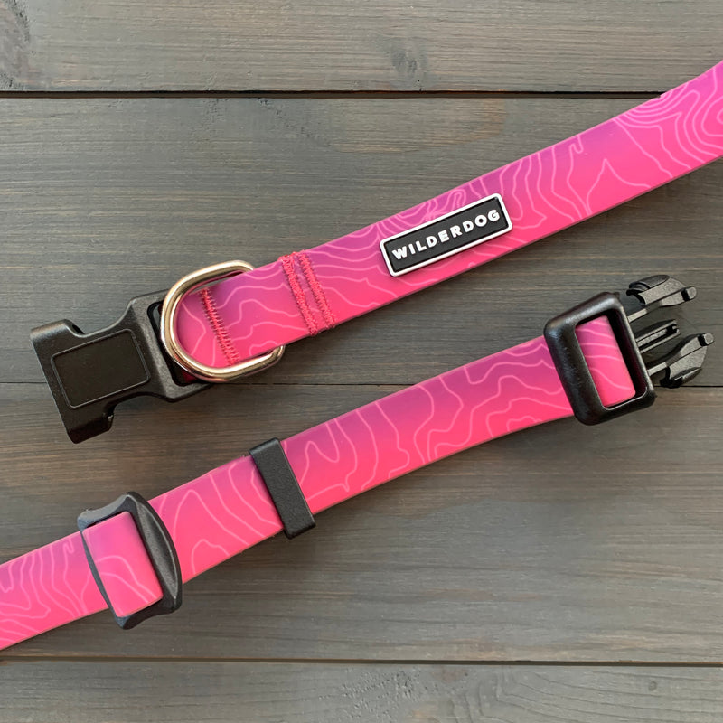 Two Plum Waterproof Leash + Collar Bundles are shown on a wooden surface. One collar highlights the "WILDERDOG" label and metal D-ring; the other displays its plastic buckle and adjustable strap—durable dog gear.