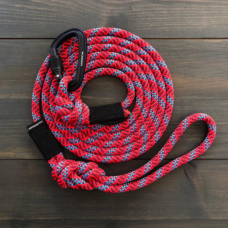 A Maple Leash, coiled and featuring a striking red and blue woven pattern with a black metal carabiner lock attached on one end, placed on a dark wooden surface. The leash is looped and knotted, showcasing its vibrant design and robust construction, reminiscent of durable dog leashes or rock climbing ropes.