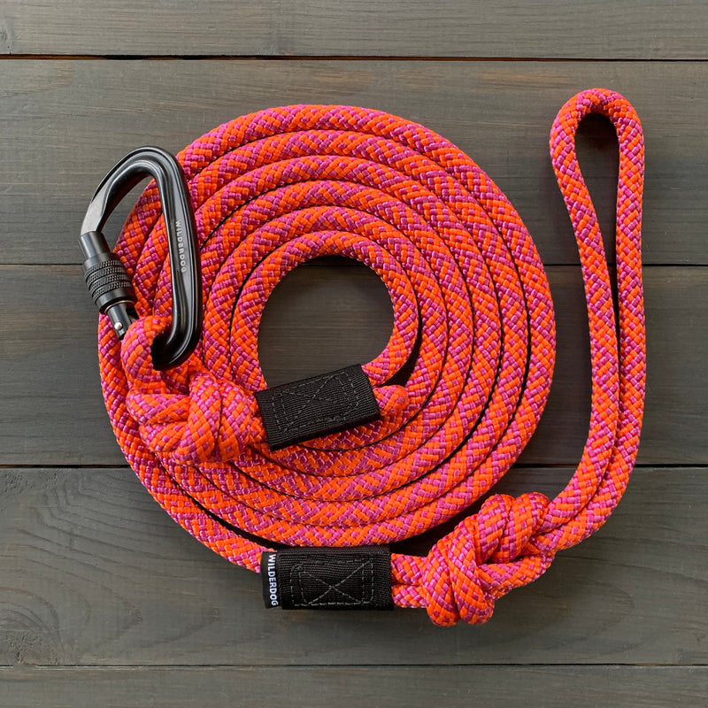 The Sierra Leash, featuring an orange and purple pattern, is coiled on a wooden surface. One end is equipped with a black metal carabiner lock, while the other end boasts a loop secured with black fabric.