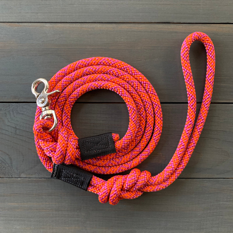 A Sierra Quick Clip Leash, coiled and colorful with a metal quick clip and black accents, is neatly placed on a dark wooden surface. This durable leash is primarily red with interwoven blue and yellow threads, resembling the vibrant appearance of rock climbing rope.