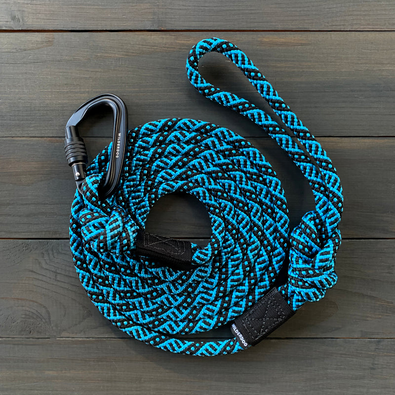 The Teton Leash, featuring a coiled blue and black pattern with a black carabiner attached, rests on a dark wooden surface. The leash is neatly arranged, showcasing visible stitching on its looped ends.