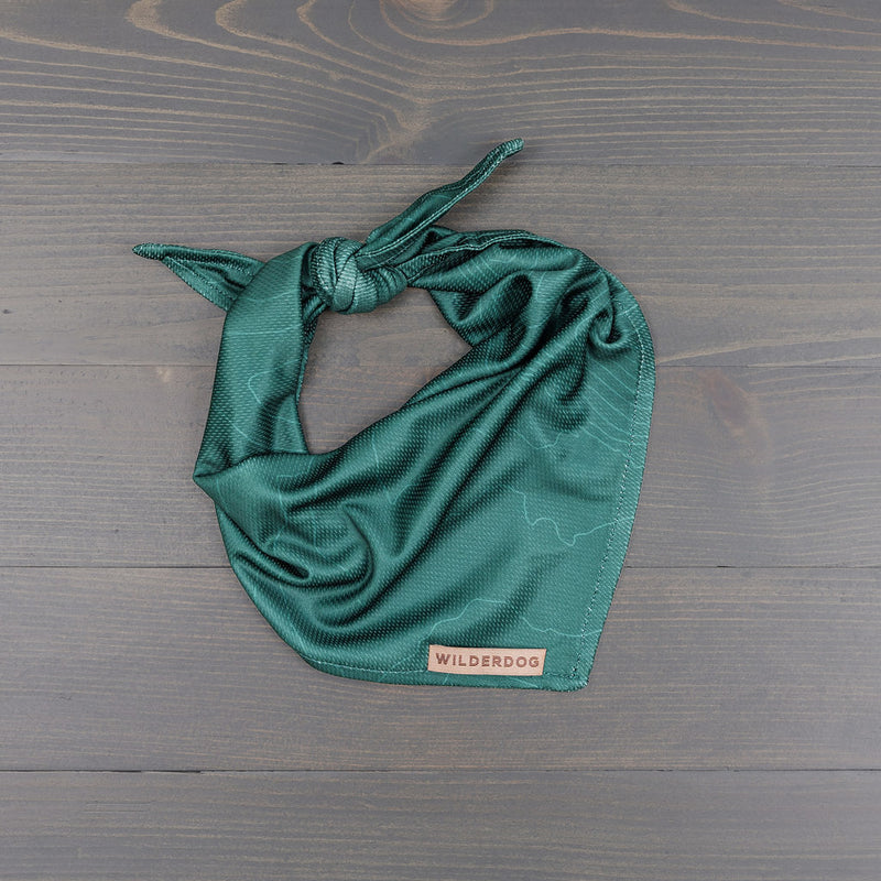 Folded Evergreen Topo Bandana with knot, subtle pattern, and "WILDERDOG" label on wooden background