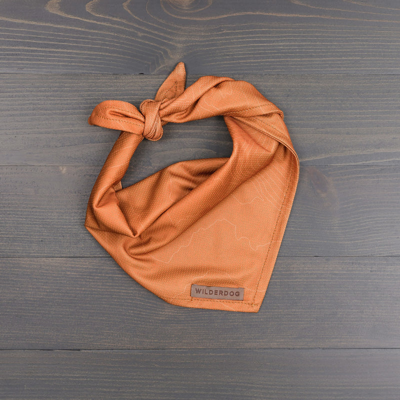 Orange Topo Bandana with "Wilderdog" label. Features topographic pattern, ideal for trails.